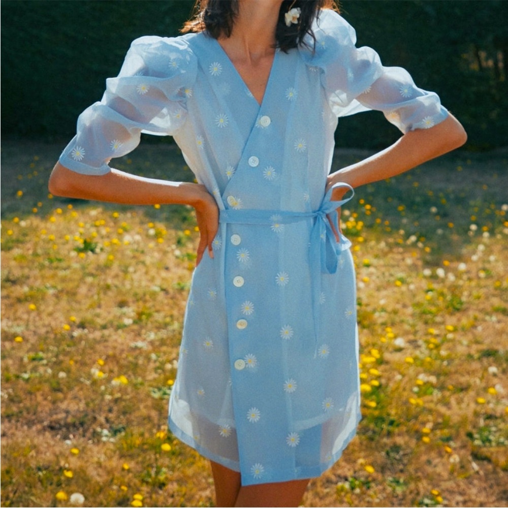 Quanta du Soleil Baby Blue Daisy Floral Button Airy Puff
Sleeve Dress 40 Large L